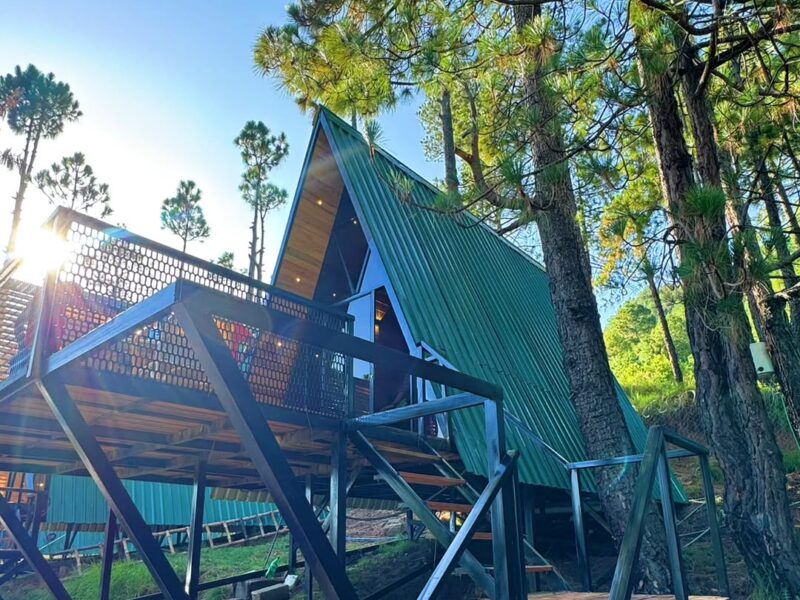 A-Frame Tree House in Patirata