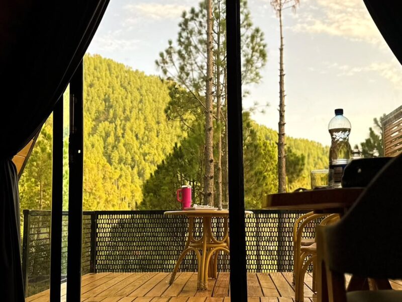 A-Frame Tree House in Patirata