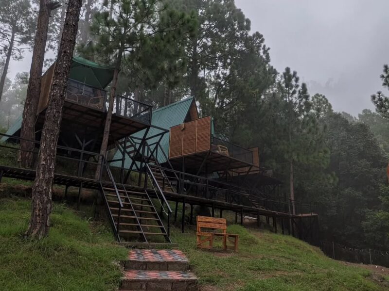 A-Frame Tree House in Patirata