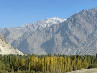 An Oasis Amidst the Cold Desert of Skardu