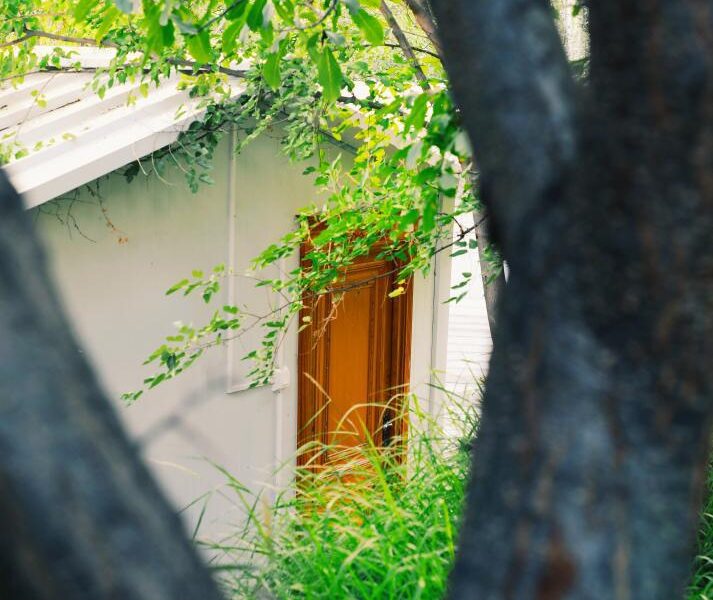 Luxury Chalets overlooking Rakaposhi, Hunza