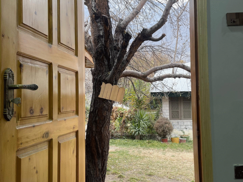 A homestay in Gilgit